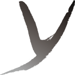 Yacht | 航行